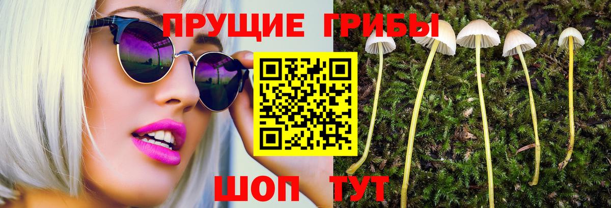 где продают   Галлюциногенные грибы ЛСД  Вход с VPN  Пушкино 