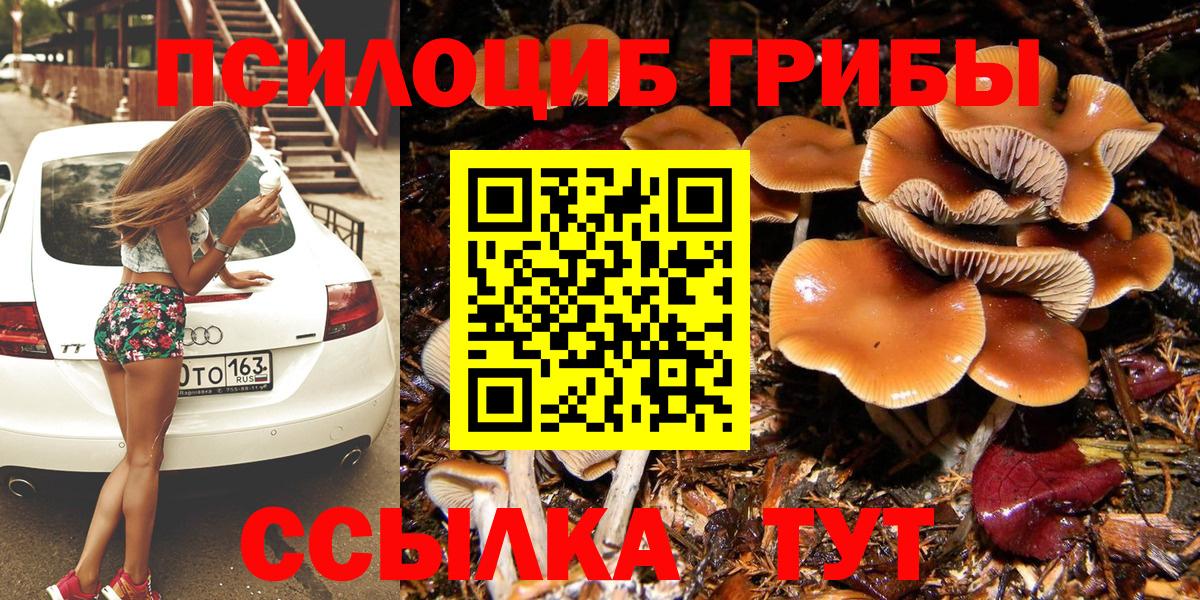 Псилоцибиновые грибы Psilocybine cubensis Пушкино